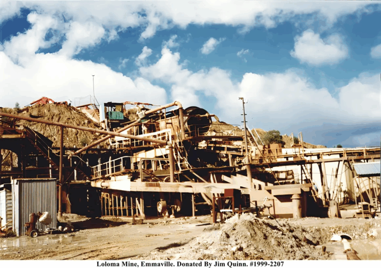 1999-2207 Loloma